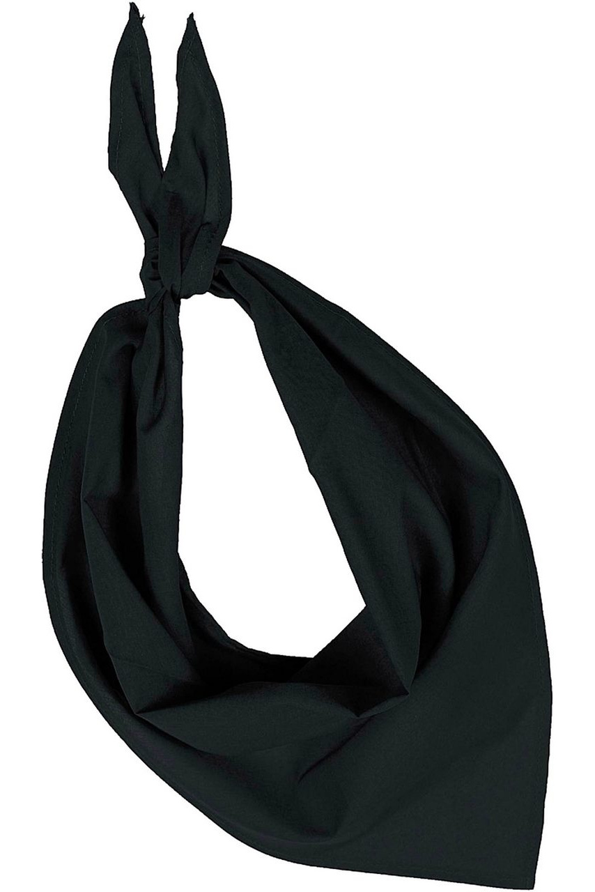 FIESTA - BANDANA