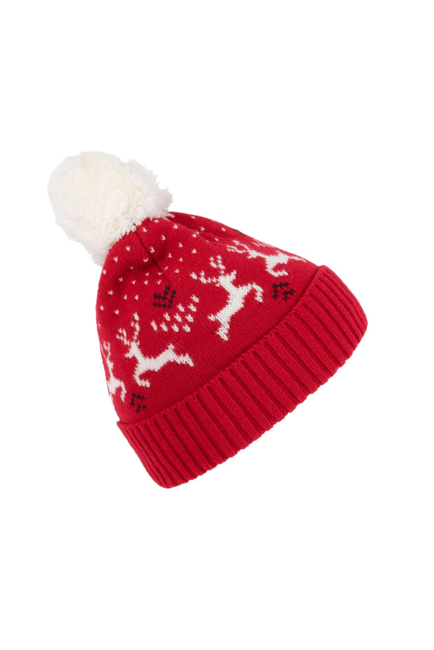 WINTER BEANIE WITH REINDEER DESIGN