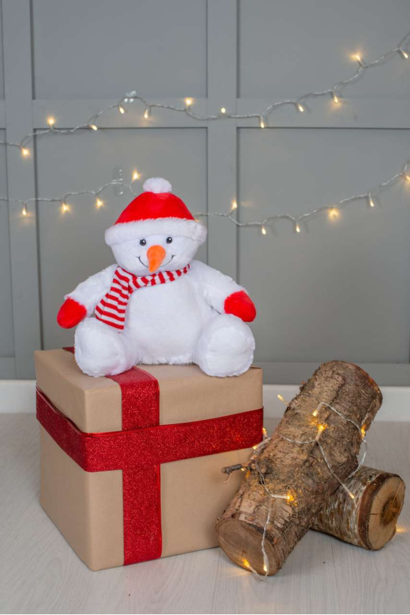ZIPPIE SNOWMAN