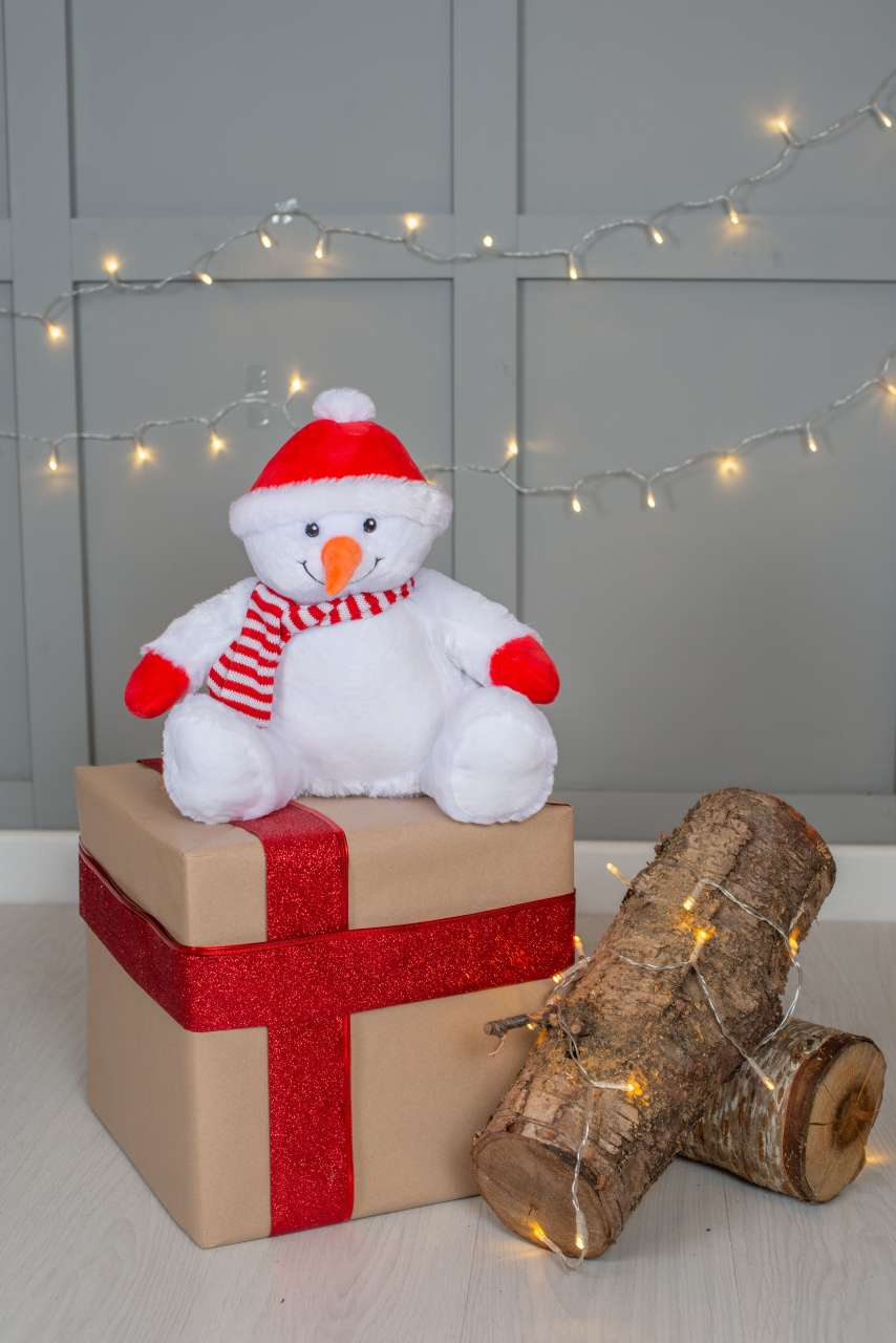 ZIPPIE SNOWMAN
