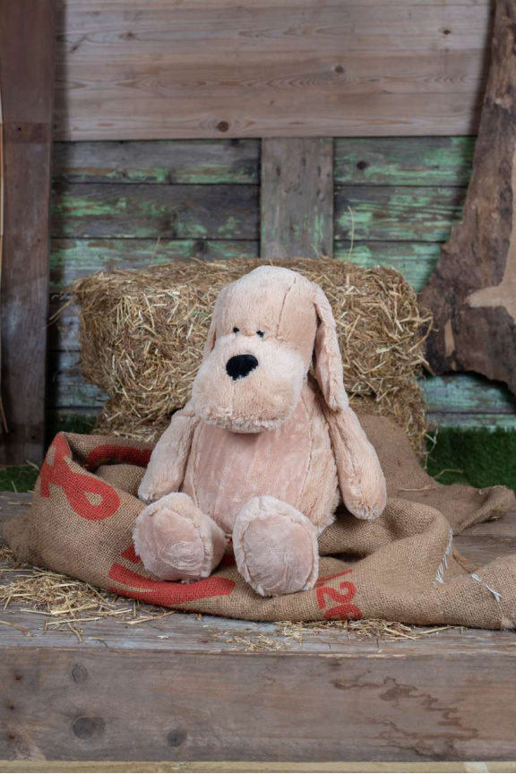 ZIPPIE DOG