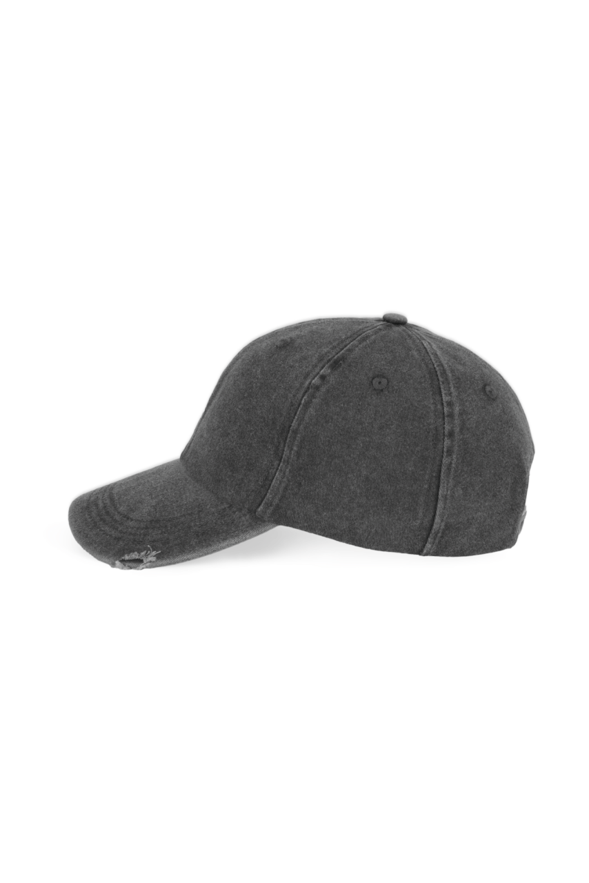 DESTROYED WASHED CAP