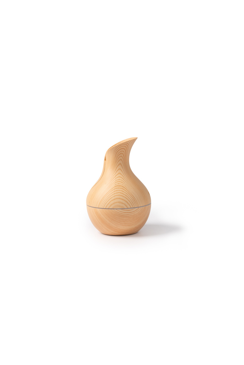 TULIP